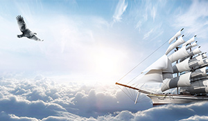 關於快色视频在线观看